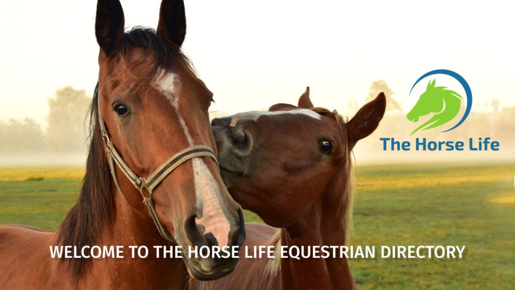 The Horse Life directory