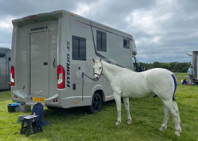 Aeos and white horse