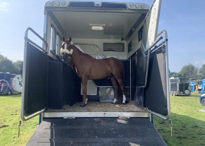 Helios and horse loaded