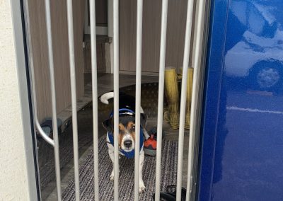 stainless steel dog gate