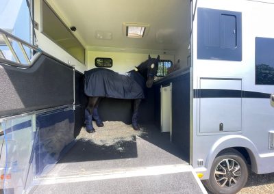 Horse loaded in a Aeos horsebox