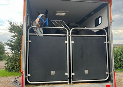 KPH Helios Compact 75 with horse loaded