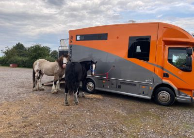 Helios - Orange and Grey Horsebox