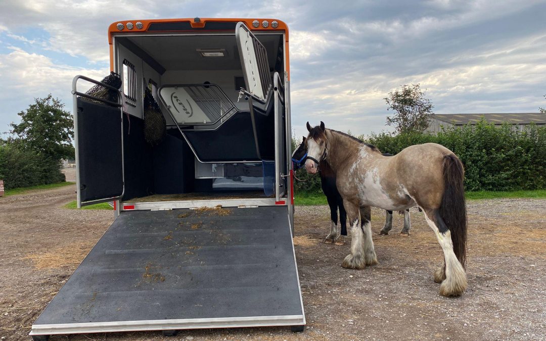 stainless steel horsebox ramp