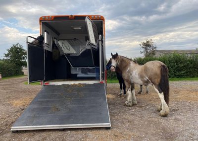 stainless steel horsebox ramp