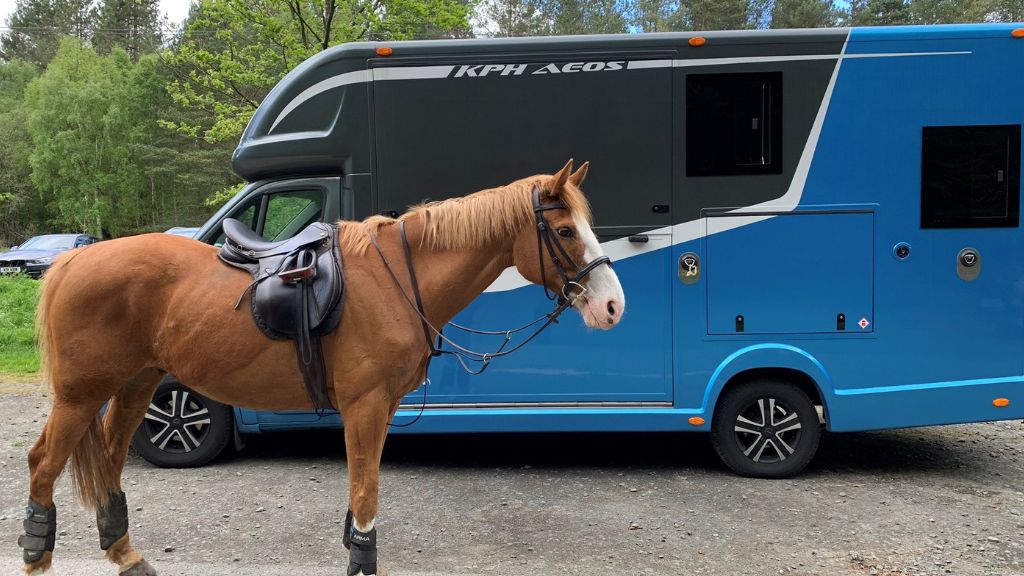 Horse Safety – Horse Transport Stress