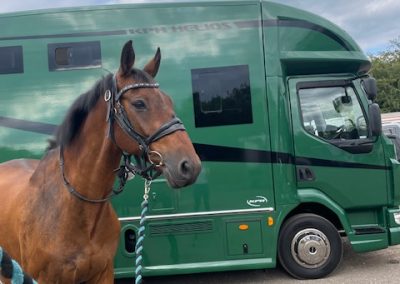 green Helios horsebox - KHP customers gallery